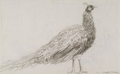 Peacock at Capel Curig, c.1845 by David Cox